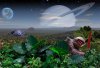 Auf dem erdähnlichen Planeten Eden werden in einem Doppelsternsystem Pflanzen der Erde und schildkrötenartige Tiere mit sensationellen Ausmaßen entdeckt.